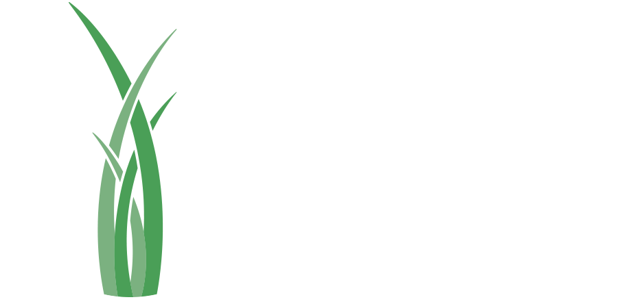 OWM Integrative Wellness